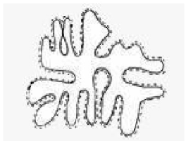 110122_4084.png 01.png