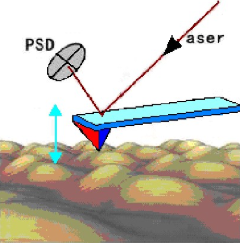 114655_1126.png 002.png