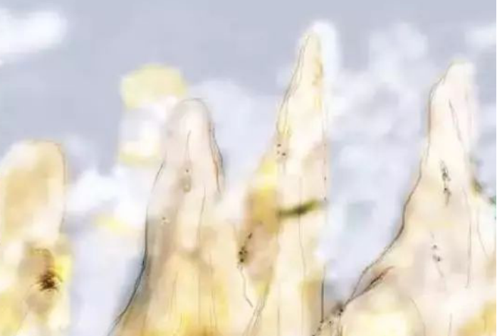 114725_7191.png 005.png