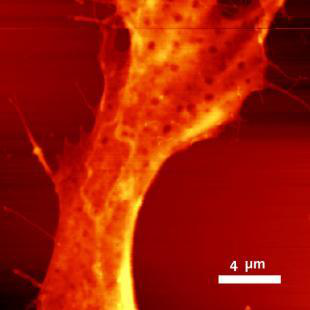 114732_8000.png 006.png