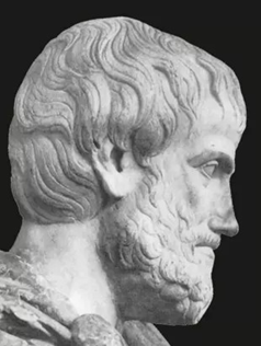 175828_8686.png