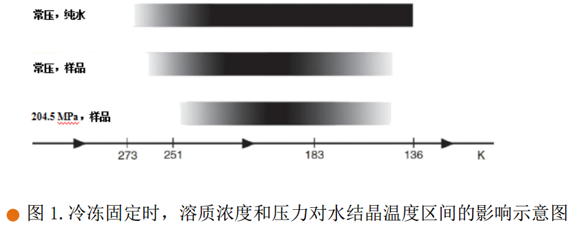 110339_9355.png 02.png